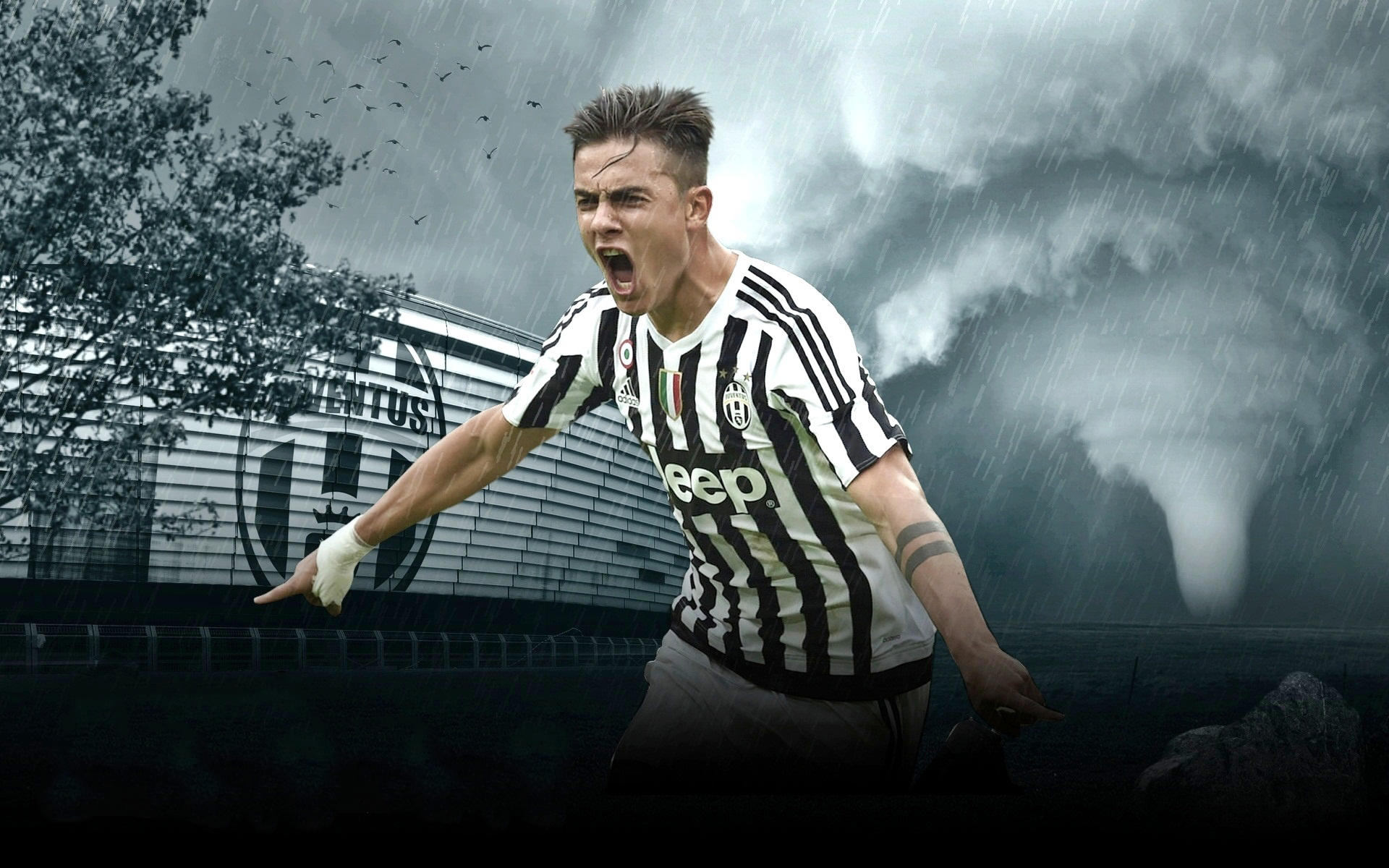 名将归来+新人涌现 中国雪上项目冲击冬奥添信心